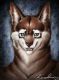 KARWOLF3.JPG